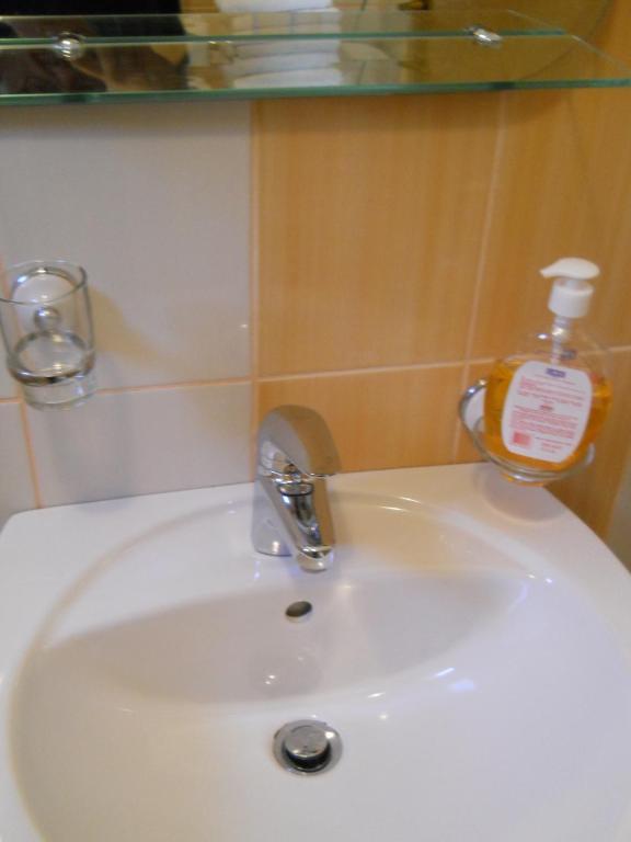 Apartment Ognjenovic
